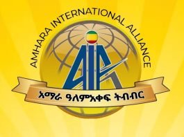 Amhara International Alliance _ Ethiopian News