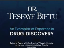 Tesfaye Biftu _ Book review