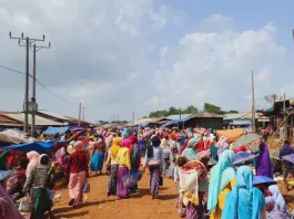 Gera _ Jimma Massacre _ Ethiopian News _ Ethiopia