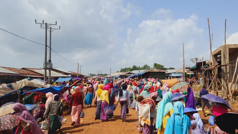 Gera _ Jimma District _ Ethiopian News 